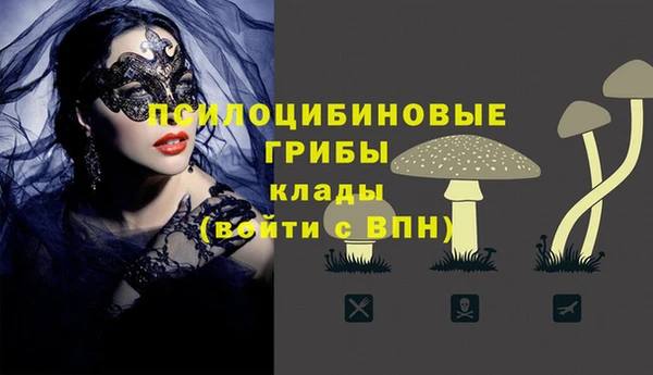 шишки Волоколамск