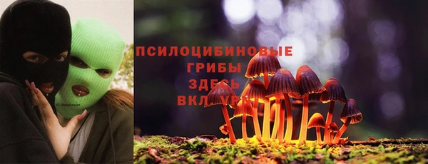 шишки Волоколамск
