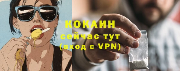 шишки Волоколамск