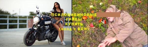 шишки Волоколамск
