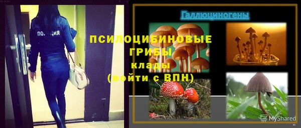 гидропоника Володарск