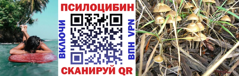 Галлюциногенные грибы мухоморы  Купить где  Тотьма 